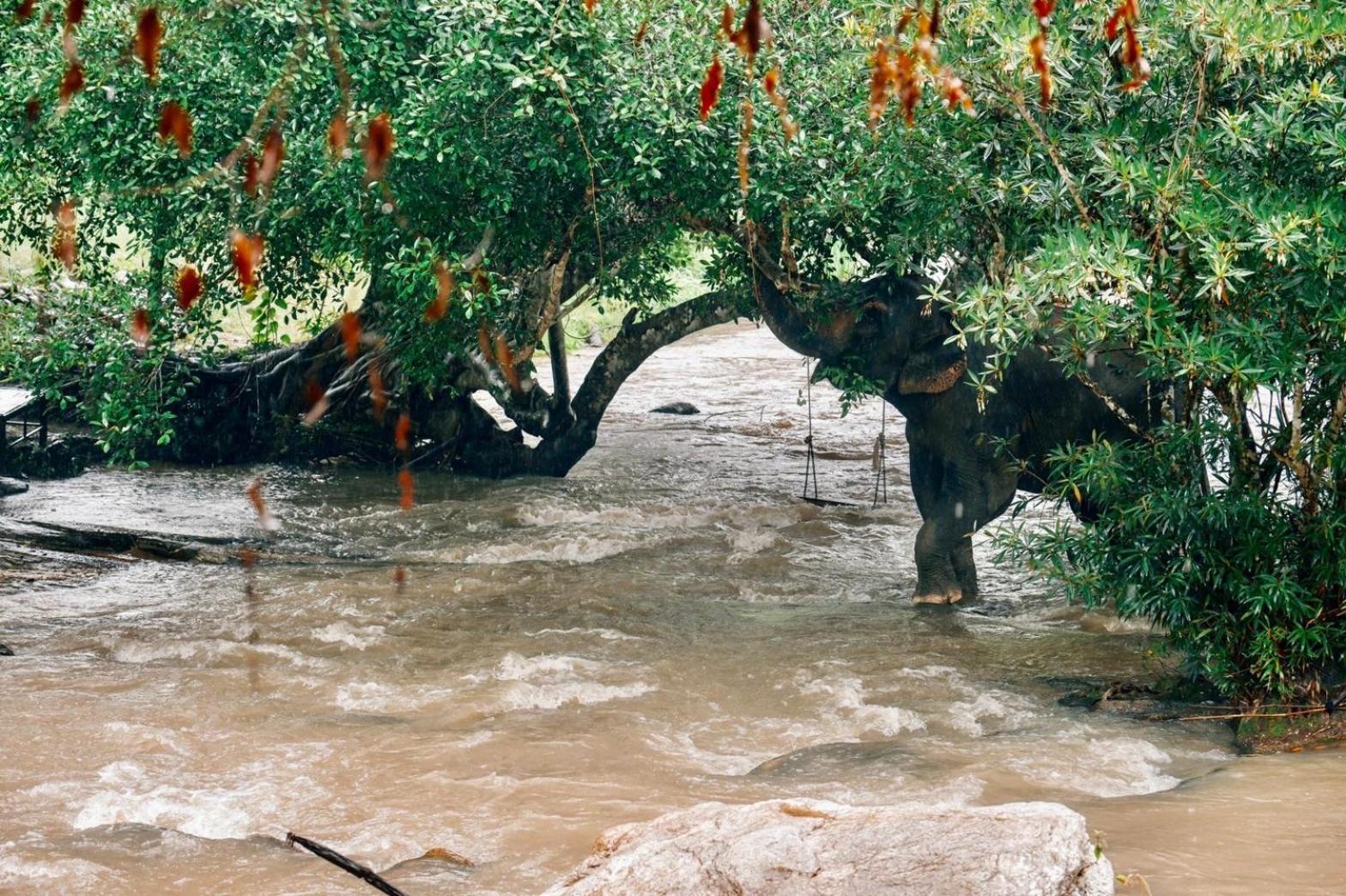 3Pok-Riverside Maewangjinxiang Mae Wang المظهر الخارجي الصورة